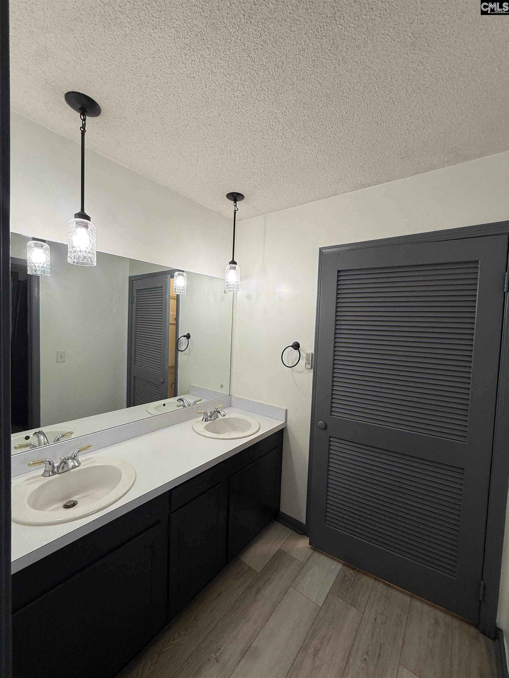 326 Townes Road Columbia, SC 29210 - Photo 17 of 25 a bathroom with a double vanity sink a large mirror and shower