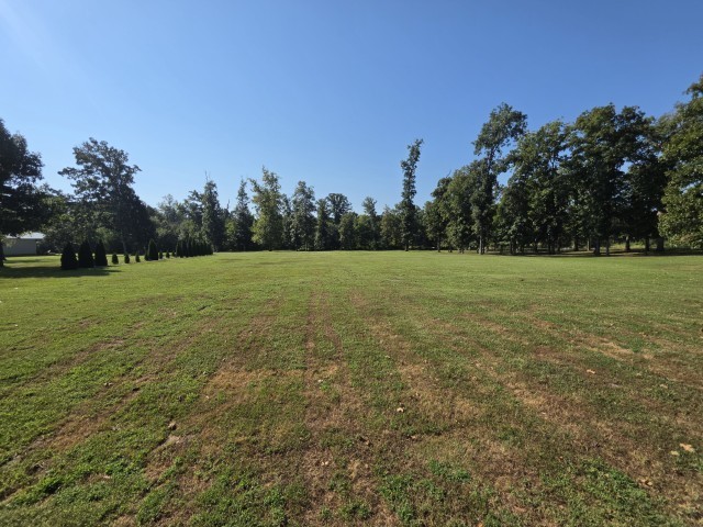 0 East Redwood Road Mount Vernon, IL 62864 - Photo 8 of 20 Gallery Image 8