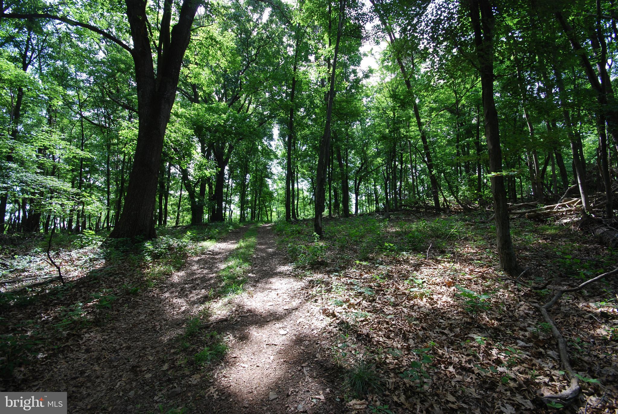 Lot 70-71 Mill Mountain Road Romney, WV 26757 - Photo 14 of 52