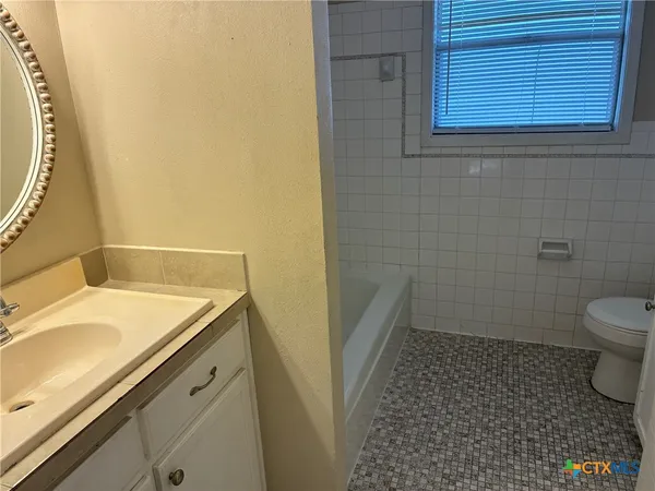 a bathroom with a sink and a toilet