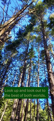 $115,000 | 37013 Schooner Drive, The Sea Ranch, CA 95497