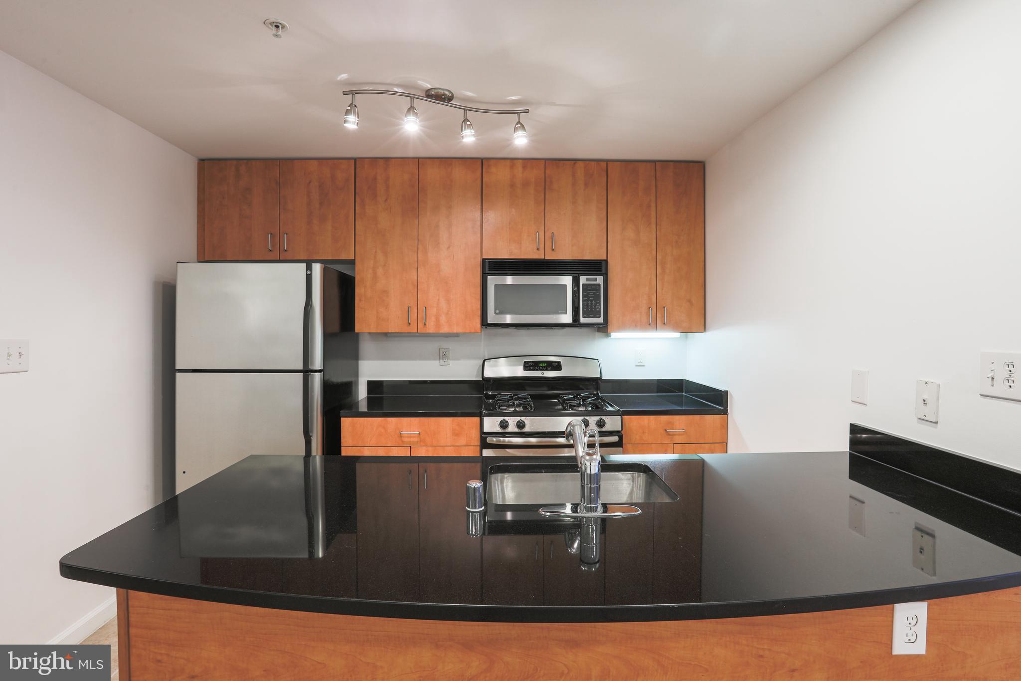 1136 Cove Road, Unit 101 Annapolis, MD 21403 - Photo 8 of 45 Granite Breakfast Bar