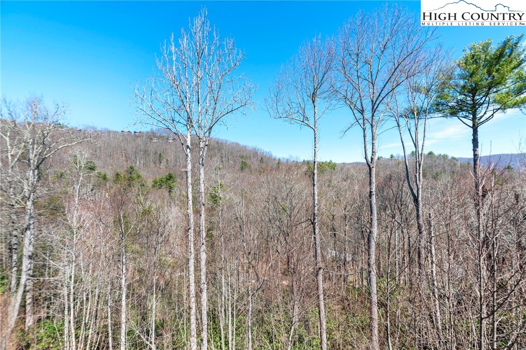 446 Peaceful Haven Drive, Unit 832 Boone, NC 28607 - Photo 14 of 38 a view of a backyard