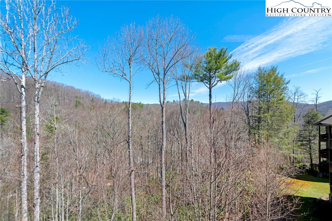 446 Peaceful Haven Drive, Unit 832 Boone, NC 28607 - Photo 15 of 38 a view of a backyard of the house