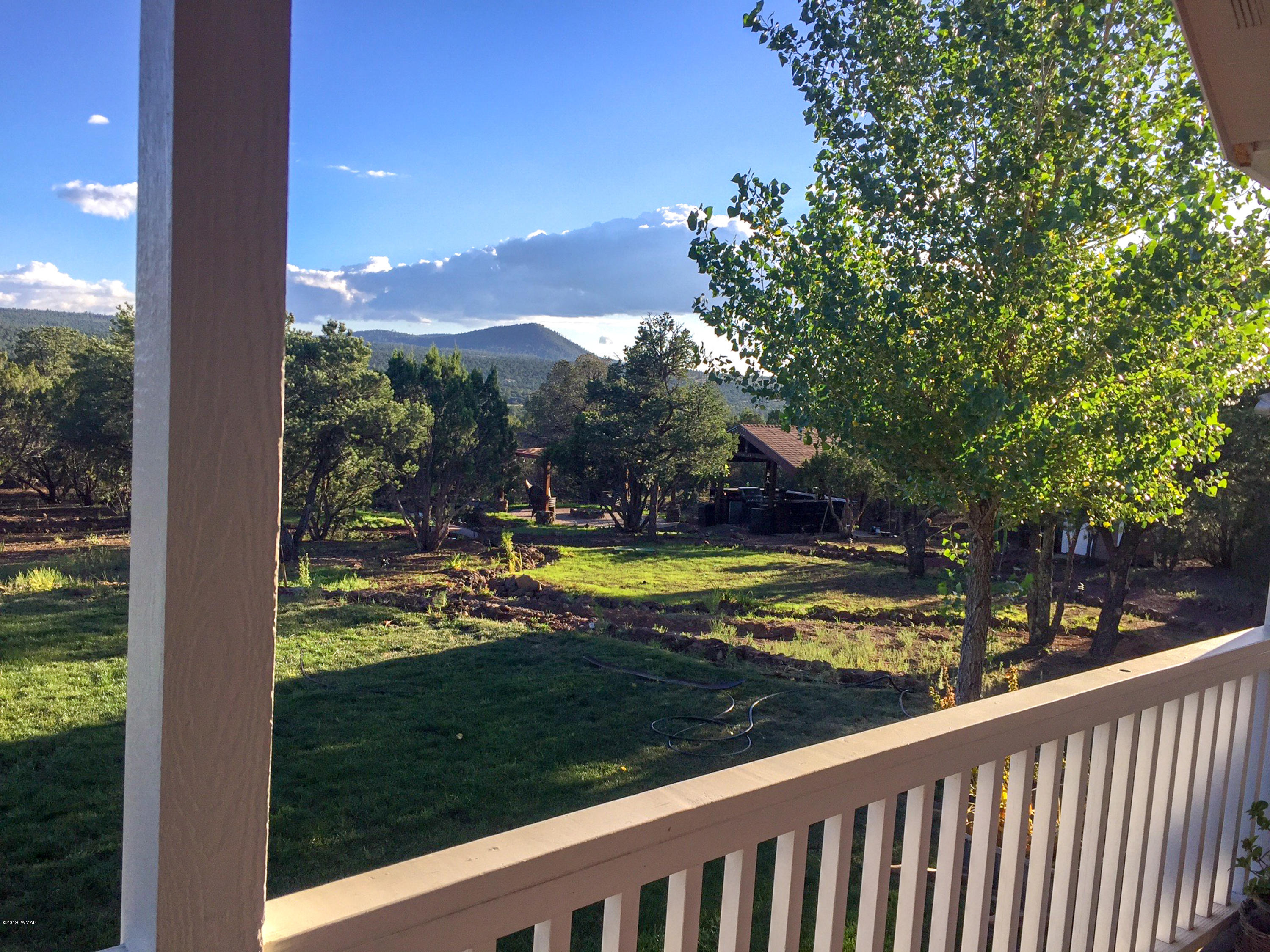 67 Acr 3069 Road Vernon, AZ 85940 - Photo 9 of 51