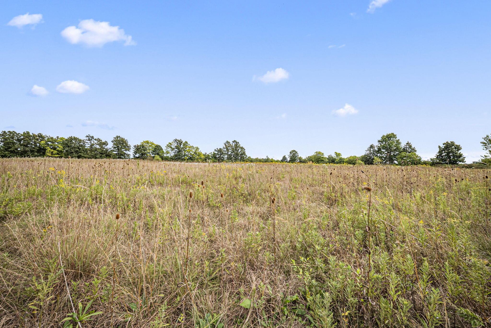 0 Likens Road Marion, OH 43302 - Photo 33 of 88 31-web-or-mls-DSC06987