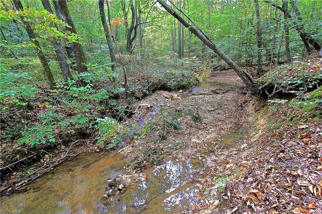 932 Smith Road Stoneville, NC 27048 - Photo 26 of 30 Gallery Image 26
