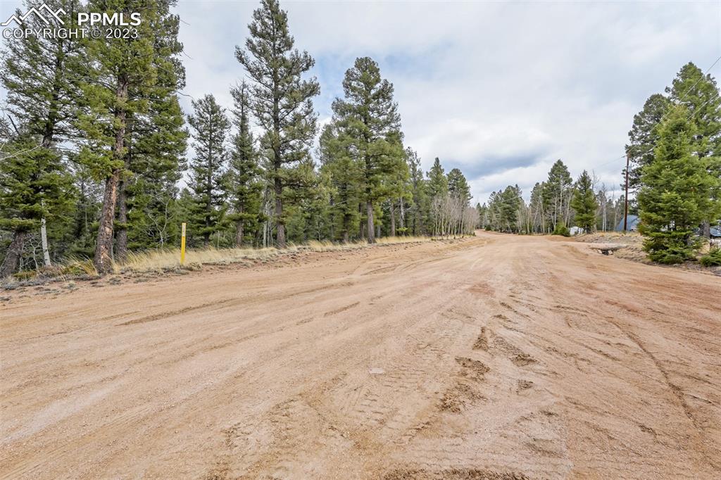 278 Cherry Lake Drive Divide, CO 80814 - Photo 12 of 13