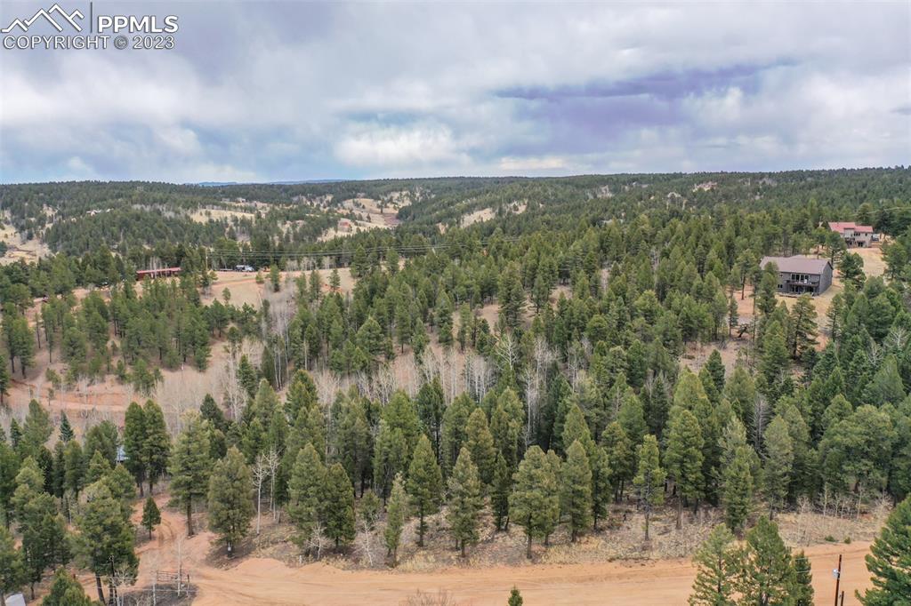 278 Cherry Lake Drive Divide, CO 80814 - Photo 2 of 13 a view of a lake with houses in the back