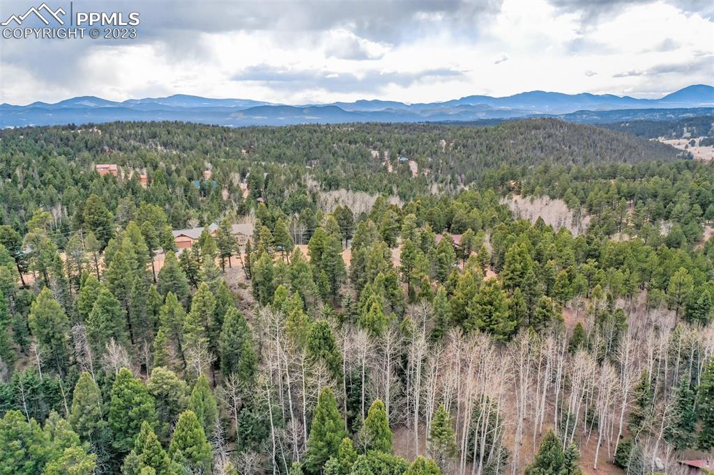 278 Cherry Lake Drive Divide, CO 80814 - Photo 3 of 13 a view of a city with lush green forest