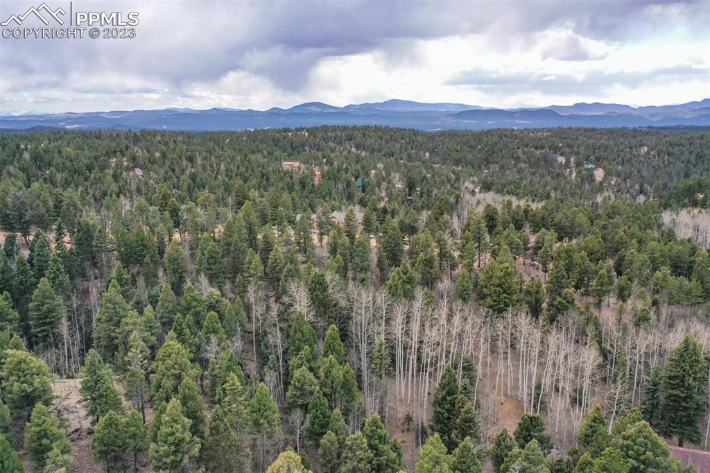 278 Cherry Lake Drive Divide, CO 80814 - Photo 4 of 13 a view of a city with lush green forest