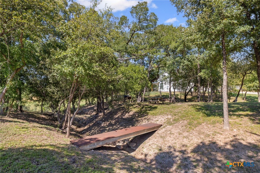 28099 Fm 2670 Killeen, TX 76549 - Photo 40 of 48 a view of a yard with plants and trees