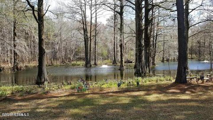 67 Iris Way Hampstead, NC 28443 - Photo 5 of 18 6