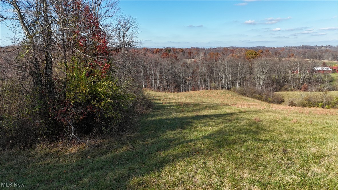 2305 Hardesty Road Norwich, OH 43767 - Photo 10 of 35 View of yard