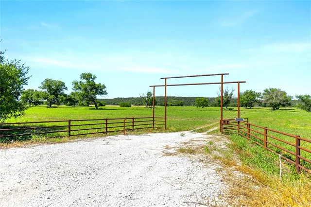 a view of a park with large trees