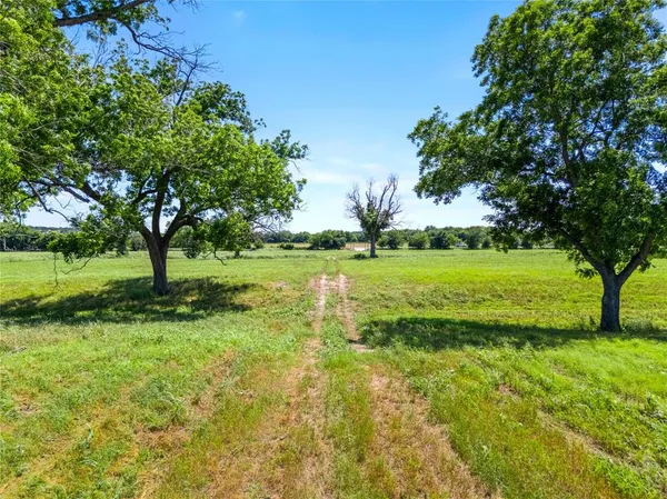 a view of a grassy field with trees