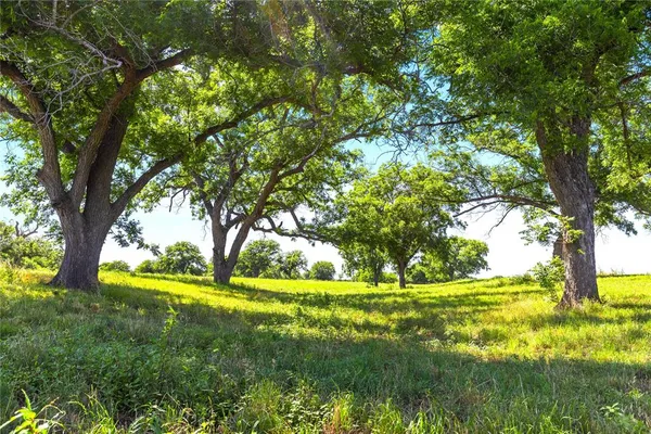 a view of swimming pool with green yard