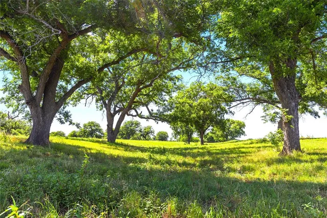 a view of swimming pool with green yard