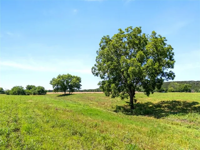 a view of yard with green space and trees