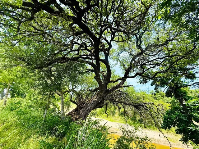 a backyard of a building with large trees