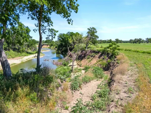 a view of a lake with a tree