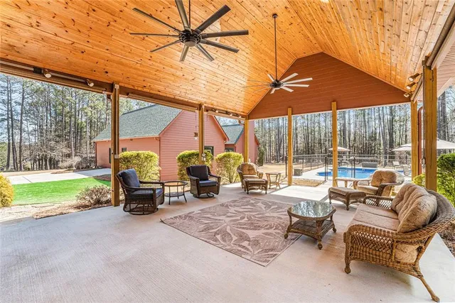 a view of a forest with a tree