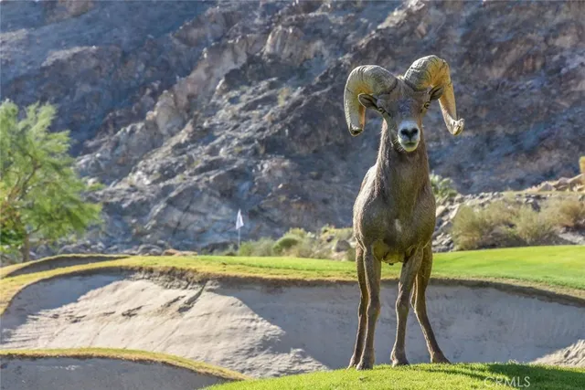 $3,475 | 55111 Tanglewood, La Quinta, CA 92253