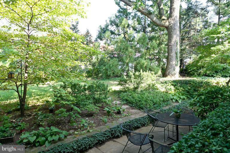 203 Ridgewood Road Baltimore, MD 21210 - Photo 9 of 26 Terraced garden