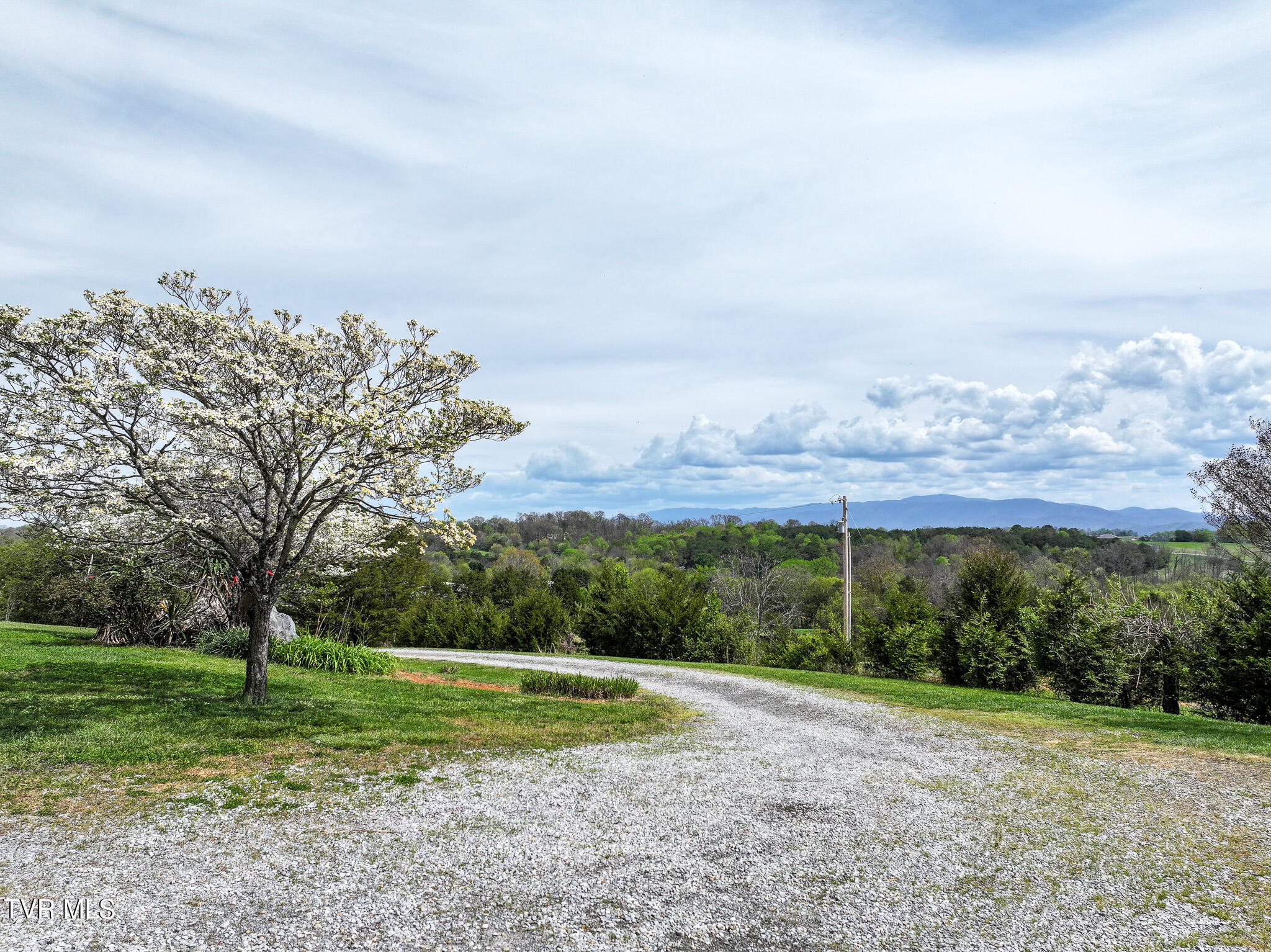 255 Old Kentucky Road West Greeneville, TN 37743 - Photo 49 of 63 42