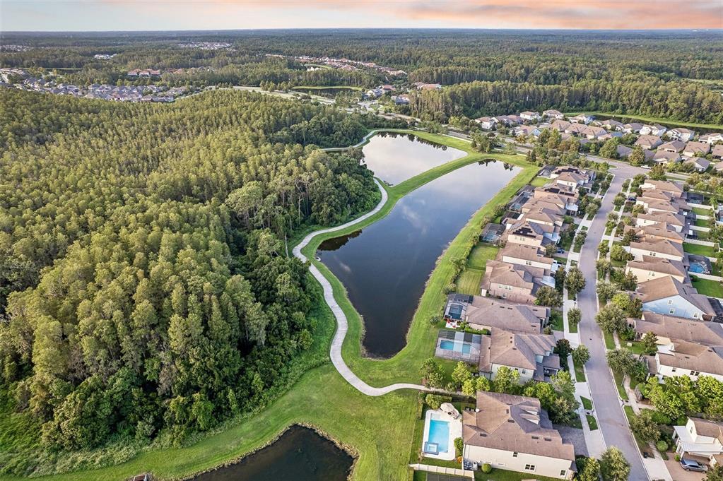 4473 Tatum Loop Odessa, FL 33556 - Photo 29 of 34