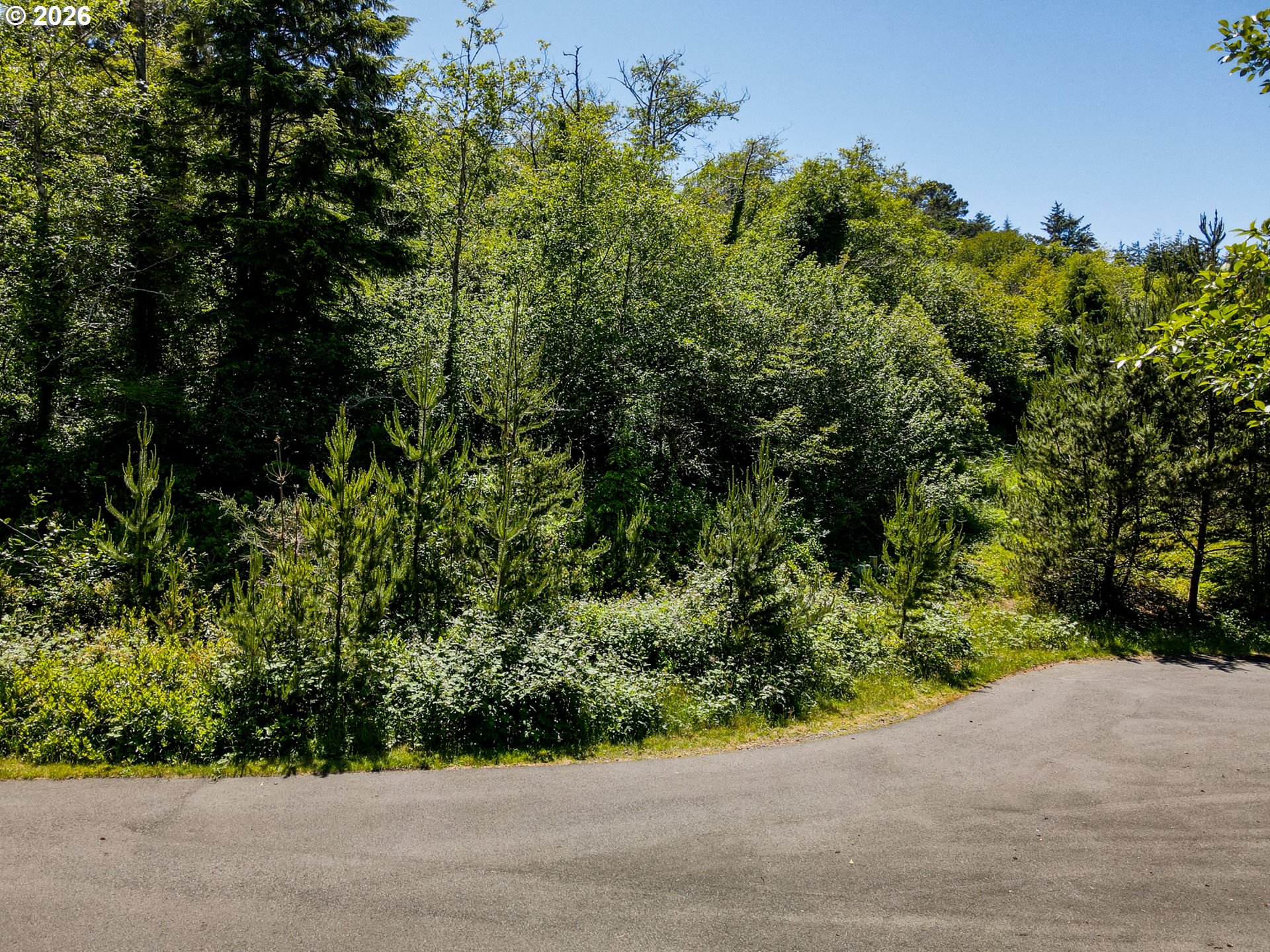 15 Dewolf Road, Unit LOT 15 Nehalem, OR 97131 - Photo 21 of 25