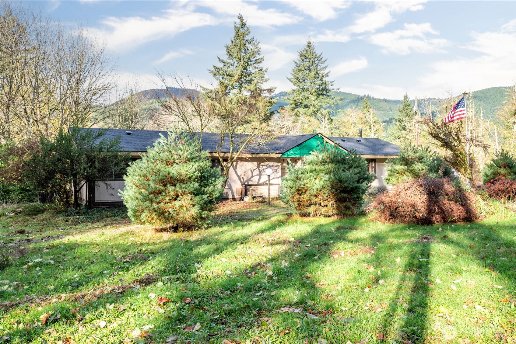 8908 Northeast Etna Road Woodland, WA 98674 - Photo 22 of 37 a view of a house with a big yard and large trees