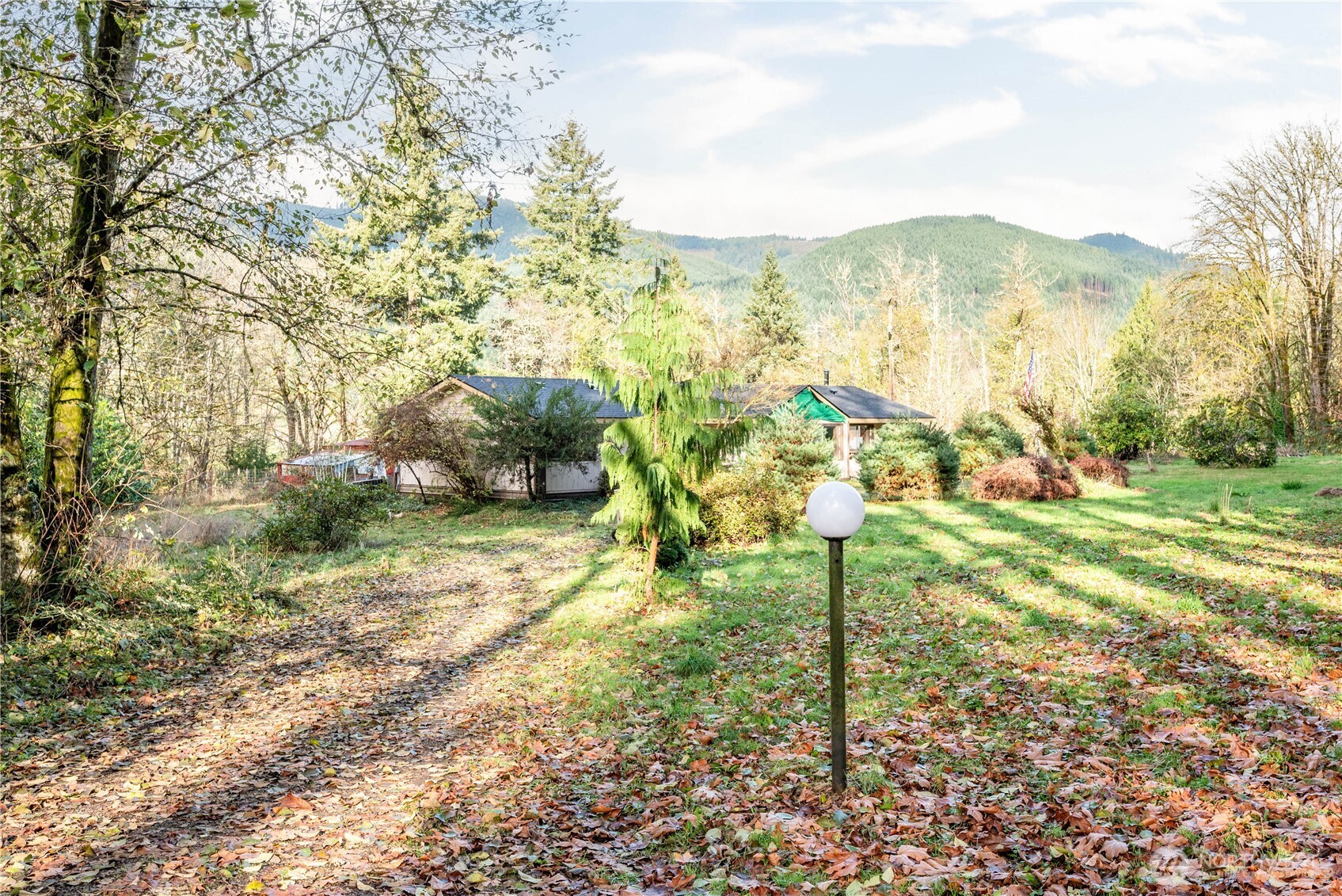 8908 Northeast Etna Road Woodland, WA 98674 - Photo 23 of 37 a view of a garden with a tree