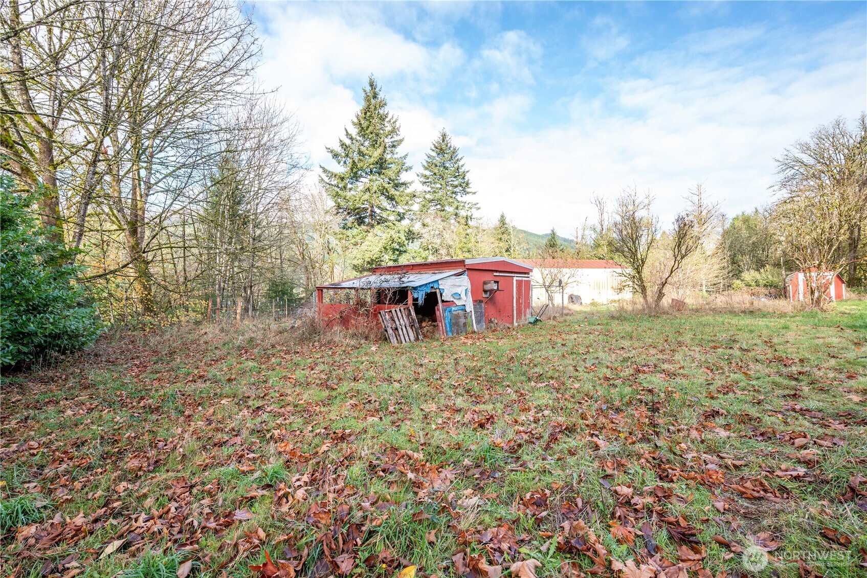 8908 Northeast Etna Road Woodland, WA 98674 - Photo 26 of 37 a view of a yard with large trees