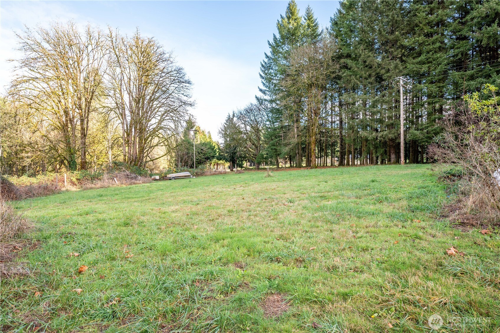 8908 Northeast Etna Road Woodland, WA 98674 - Photo 30 of 37 a view of a green field with trees in the background