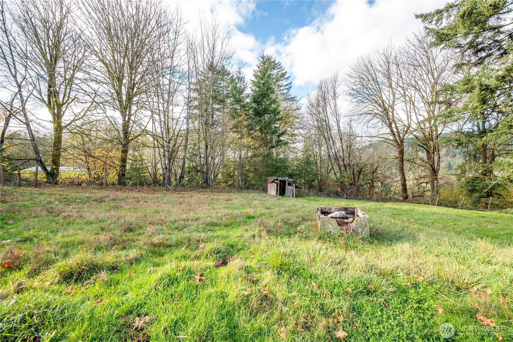 8908 Northeast Etna Road Woodland, WA 98674 - Photo 32 of 37 a view of backyard with tree