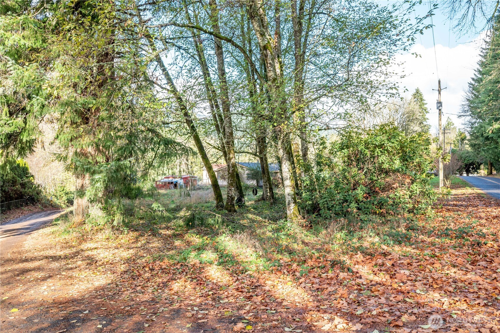 8908 Northeast Etna Road Woodland, WA 98674 - Photo 35 of 37 a big yard with lots of green space and trees all around