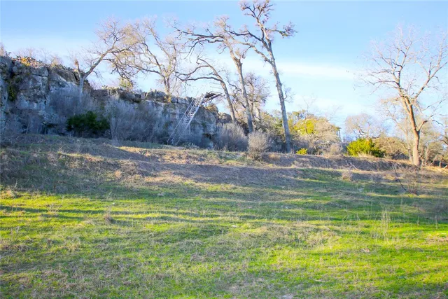 a view of a field with an trees