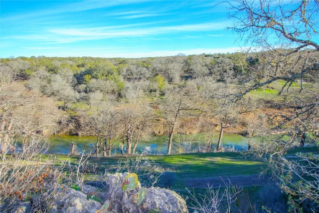 a view of a backyard with a tree