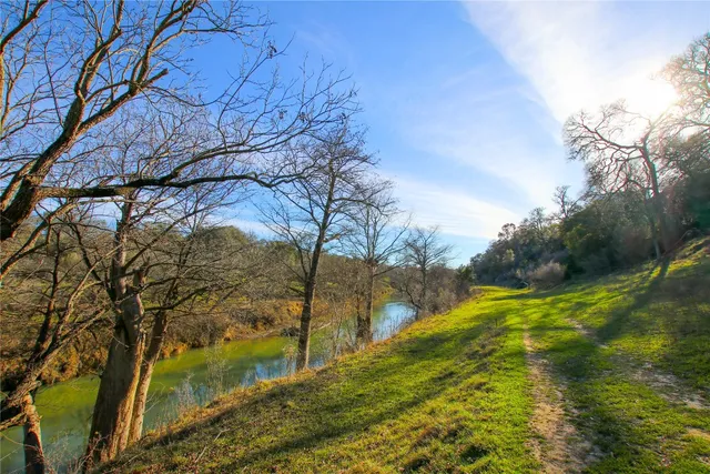 a view of a yard with an trees