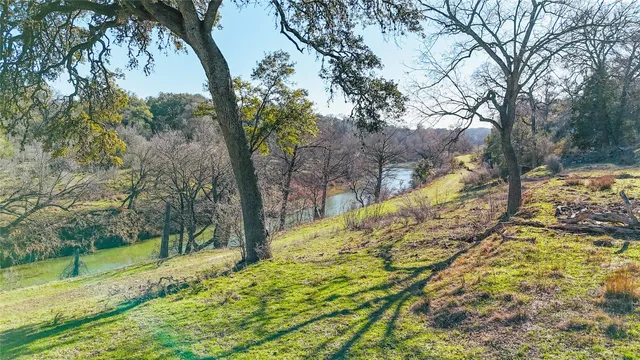 a view of a yard with large trees
