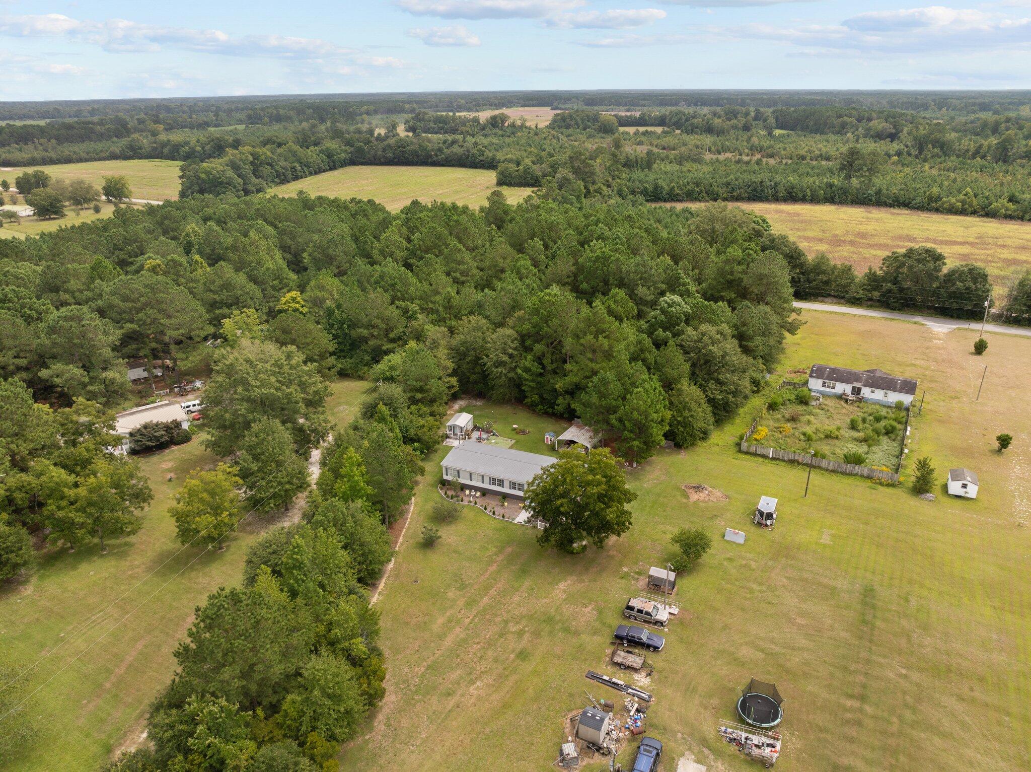 138 Winewood Drive Cope, SC 29038 - Photo 21 of 34 45-web-or-mls-DJI_0673