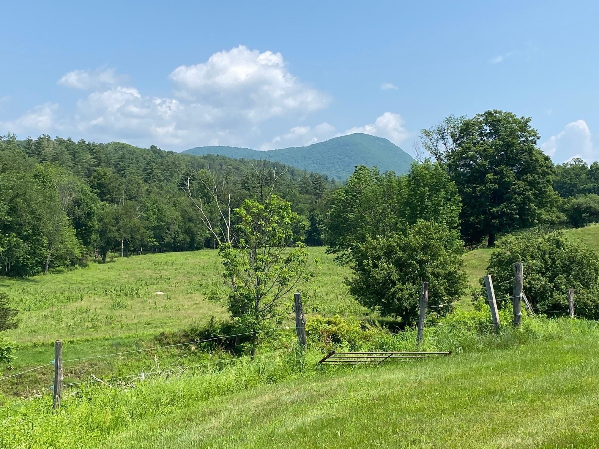 637 Danby Pawlet Road Pawlet, VT 05761 - Photo 8 of 39 Gallery Image 8