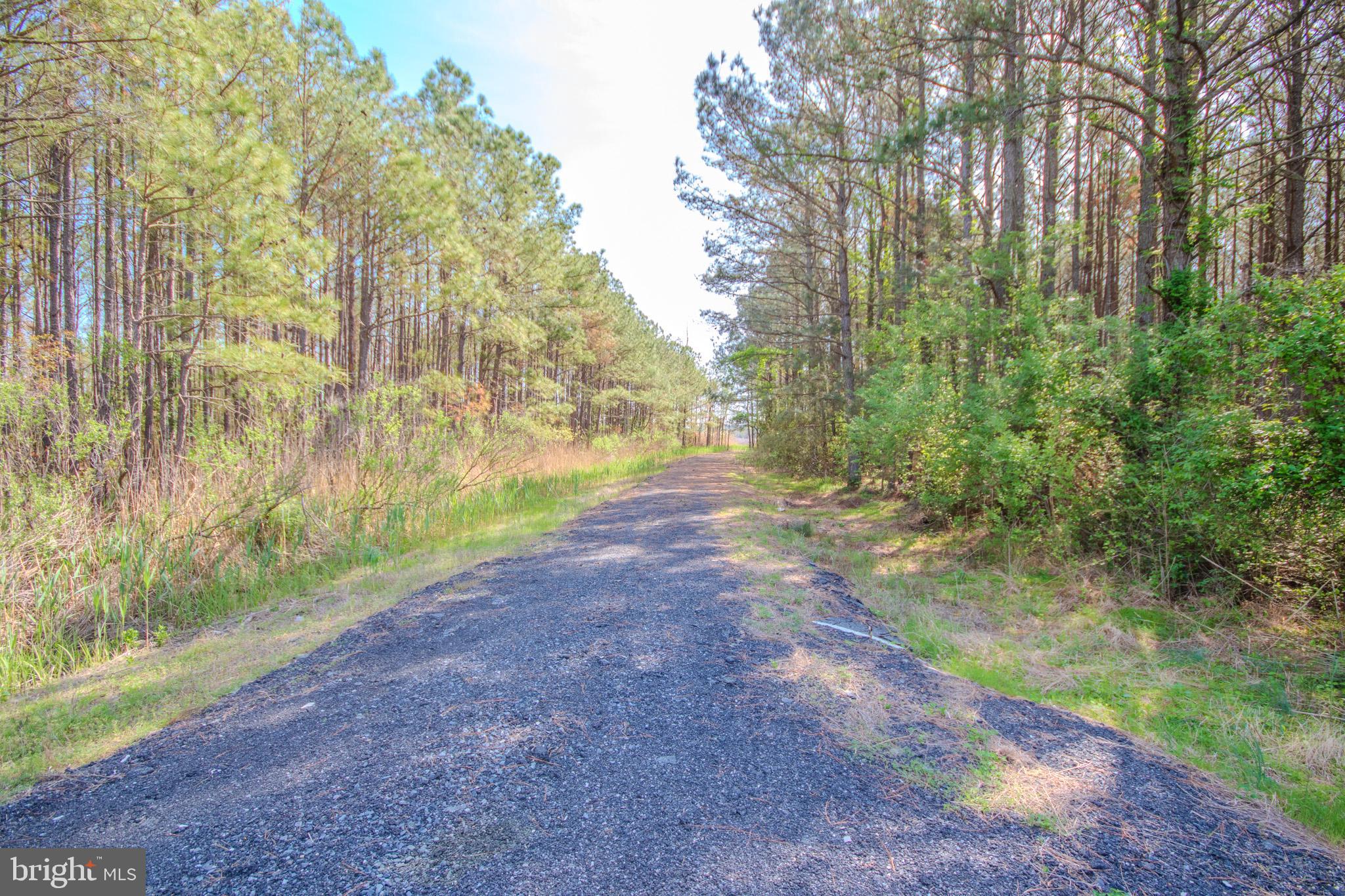 26835 Roland Tyler Road Crisfield, MD 21817 - Photo 47 of 47 Laneto Creek