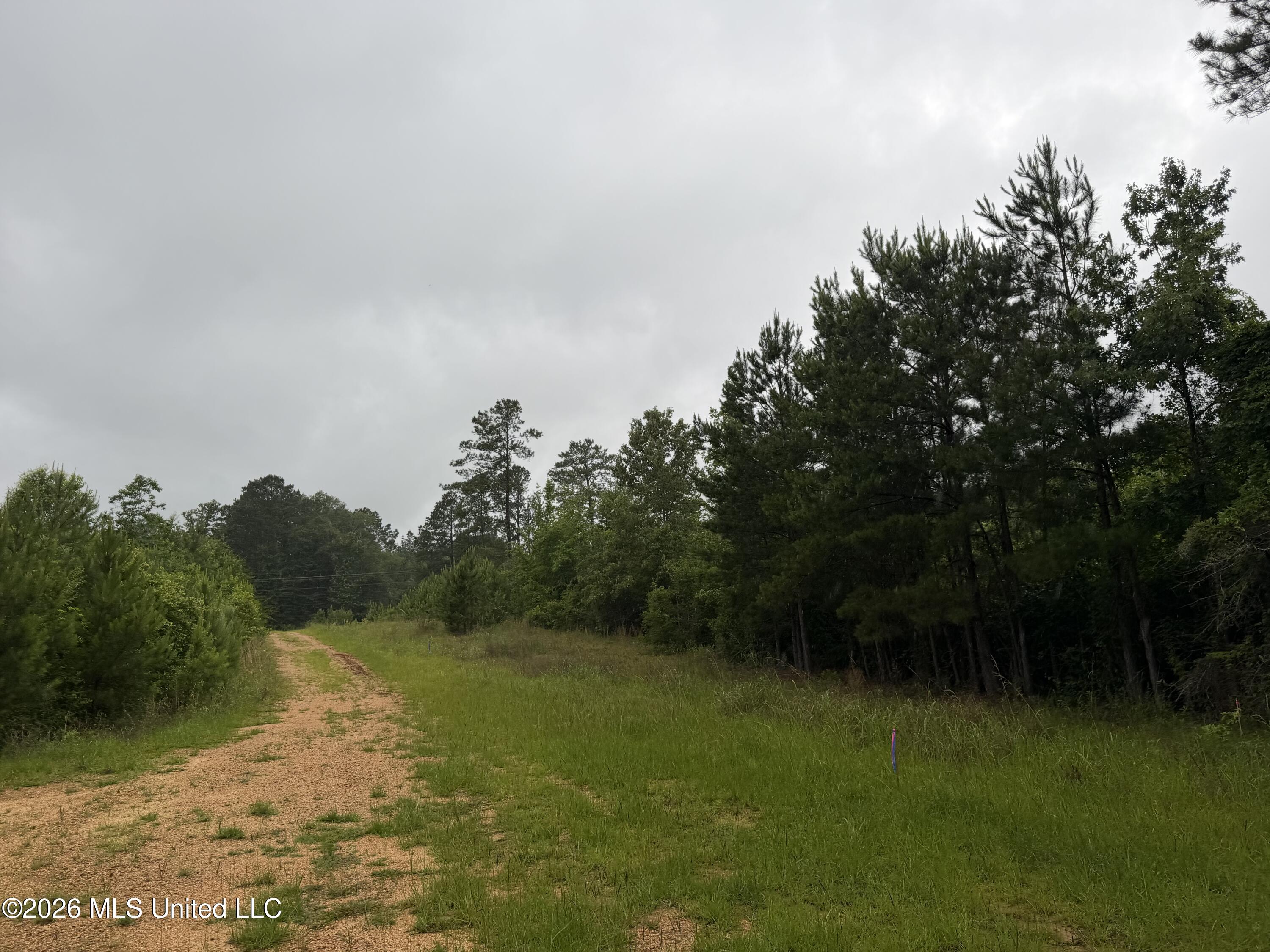 Shell Oil Rd Summit Ruth, MS 39662 - Photo 15 of 15 IMG_7292