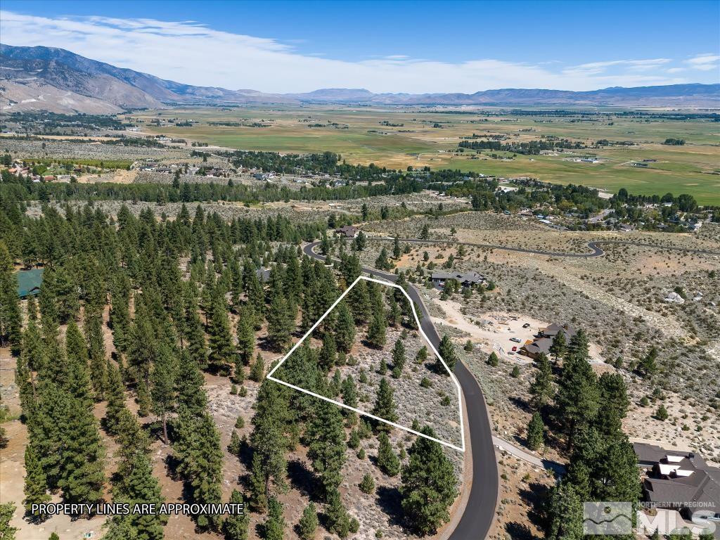 87 Five Creek Road Gardnerville, NV 89460 - Photo 13 of 40 a view of a lake with a mountain