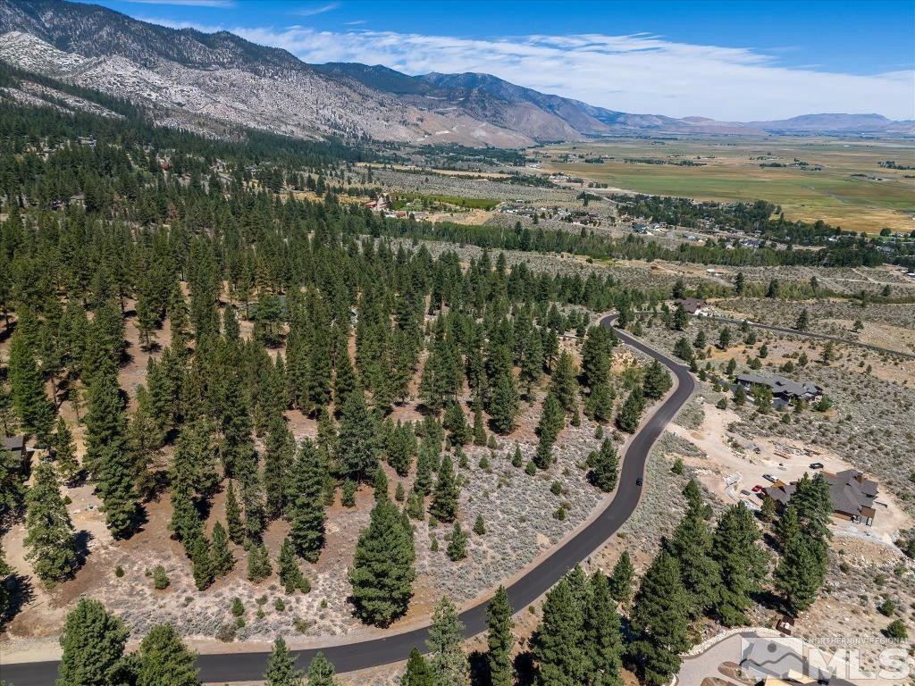 87 Five Creek Road Gardnerville, NV 89460 - Photo 14 of 40 a view of a forest with mountains in the background