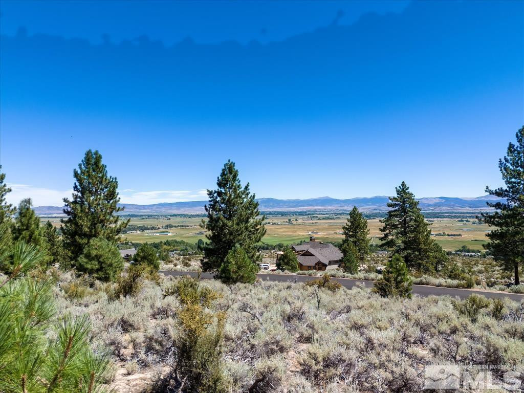87 Five Creek Road Gardnerville, NV 89460 - Photo 20 of 40 a view of a yard with a house in the background