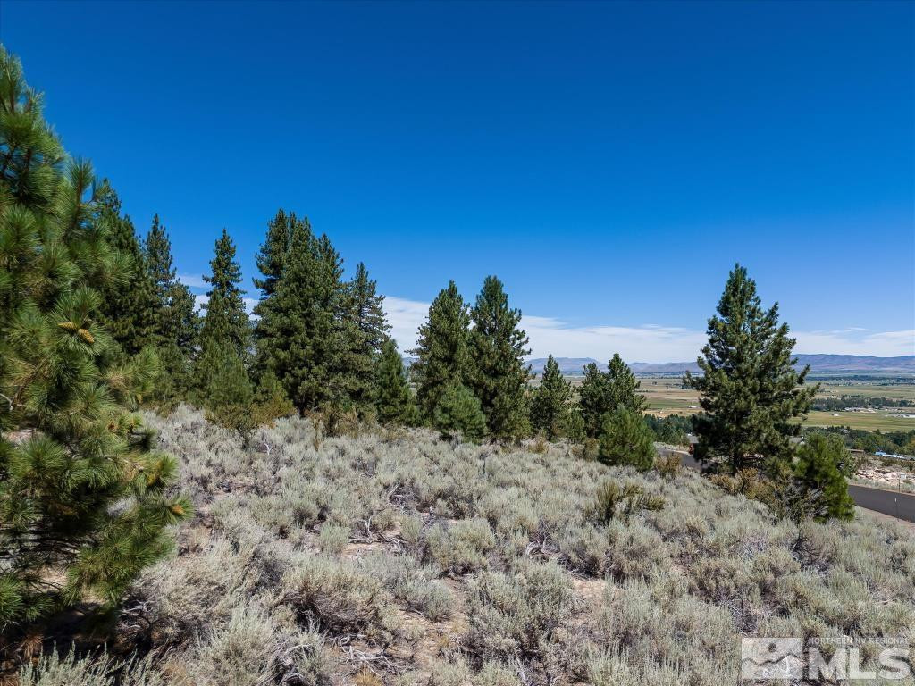 87 Five Creek Road Gardnerville, NV 89460 - Photo 21 of 40 a view of a dry yard with trees in the background