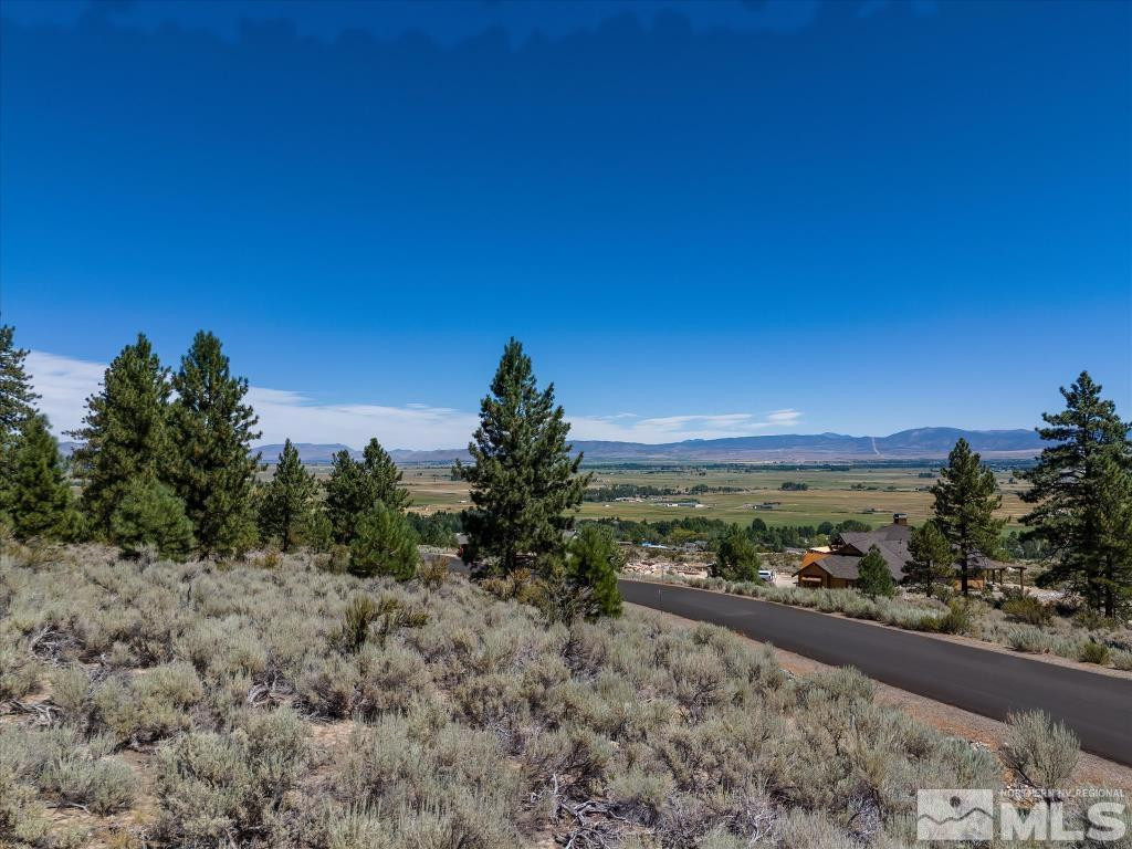87 Five Creek Road Gardnerville, NV 89460 - Photo 22 of 40 a view of a yard with an ocean